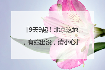 9天9起！北京这地，有蛇出没，请小心