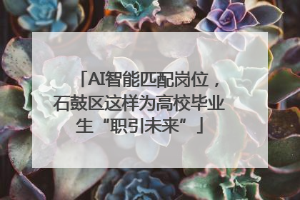 AI智能匹配岗位，石鼓区这样为高校毕业生“职引未来”