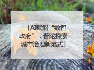 AI赋能“数智政府”，普陀探索城市治理新范式