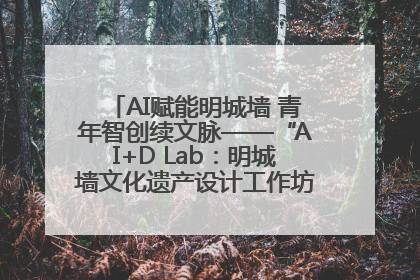 AI赋能明城墙 青年智创续文脉——“AI+D Lab：明城墙文化遗产设计工作坊”在南京开营