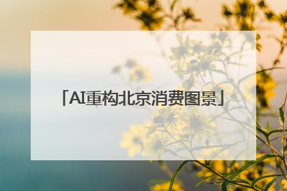 AI重构北京消费图景