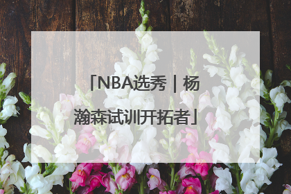 NBA选秀｜杨瀚森试训开拓者