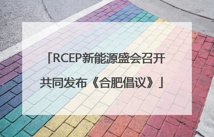 RCEP新能源盛会召开 共同发布《合肥倡议》