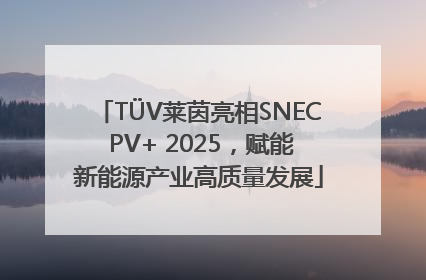 TÜV莱茵亮相SNEC PV+ 2025，赋能新能源产业高质量发展