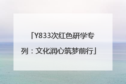 Y833次红色研学专列：文化润心筑梦前行